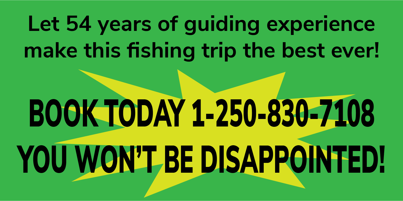 Book today you won't be disappointed